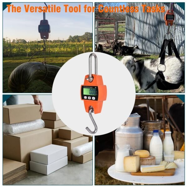 Balanzas de gancho 200kg y 500kg